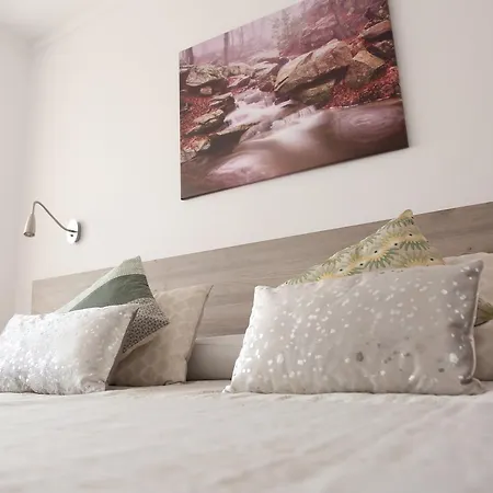 Guest house Torras 2*